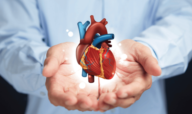 subspecialties of cardiac surgeries